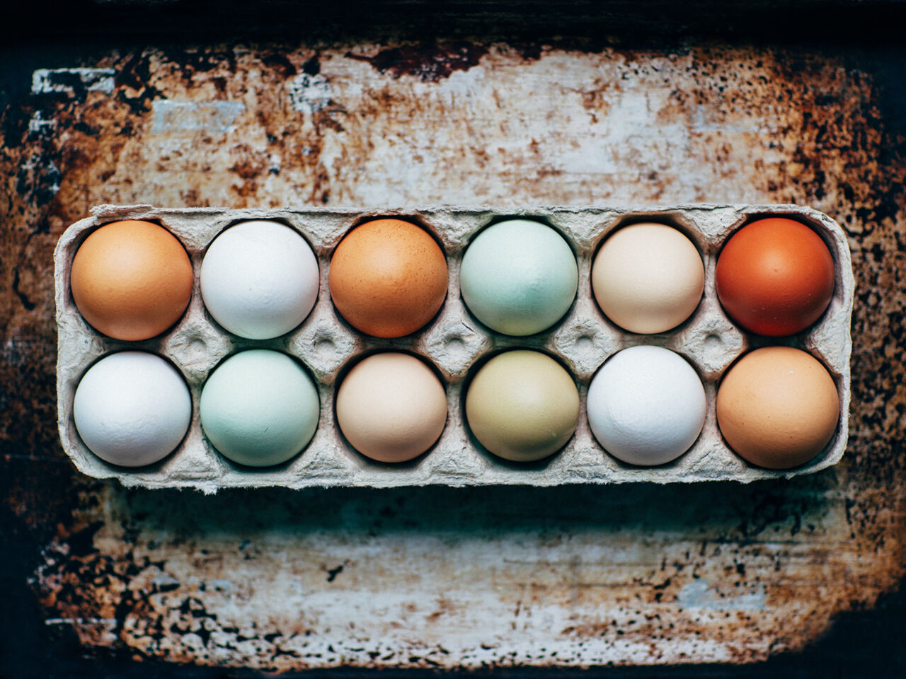 Eier: Wissenswertes & Fakten