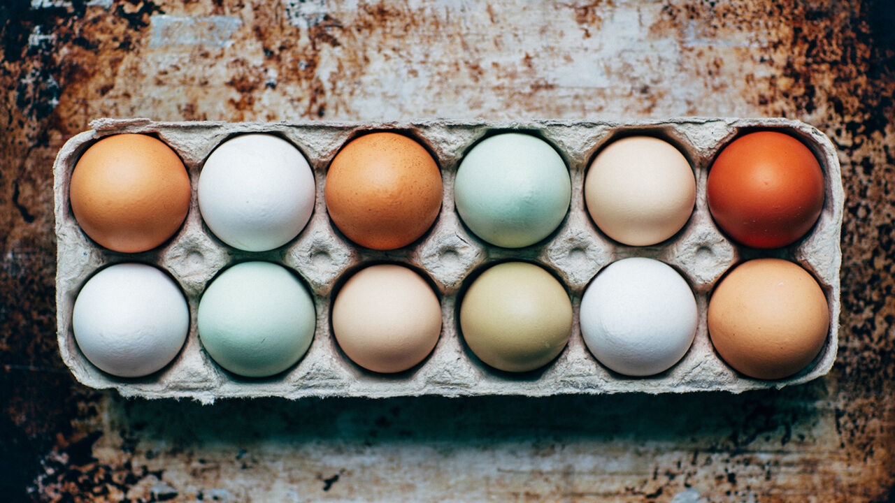 Eier: Wissenswertes & Fakten