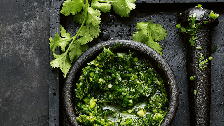 Salsa mit Koriander Koriander verde