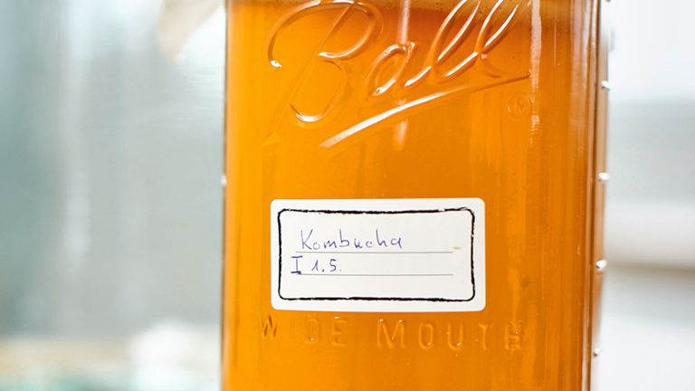 kombucha-selber-machen