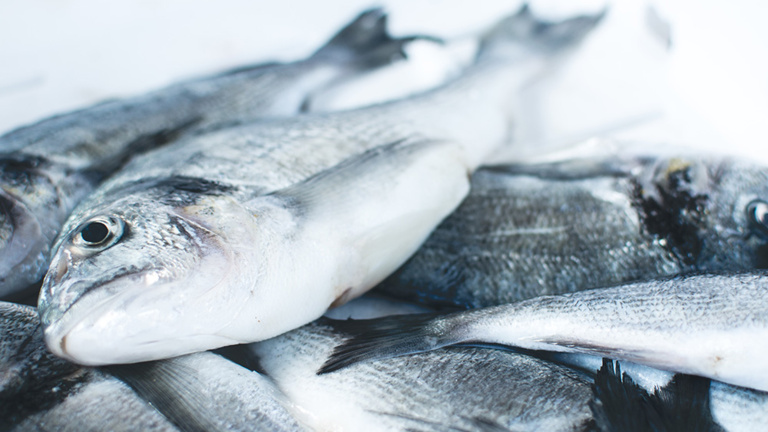 Frischer Fisch  fisch-label